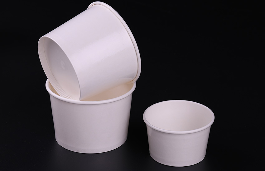 Double PE coated paper bowl