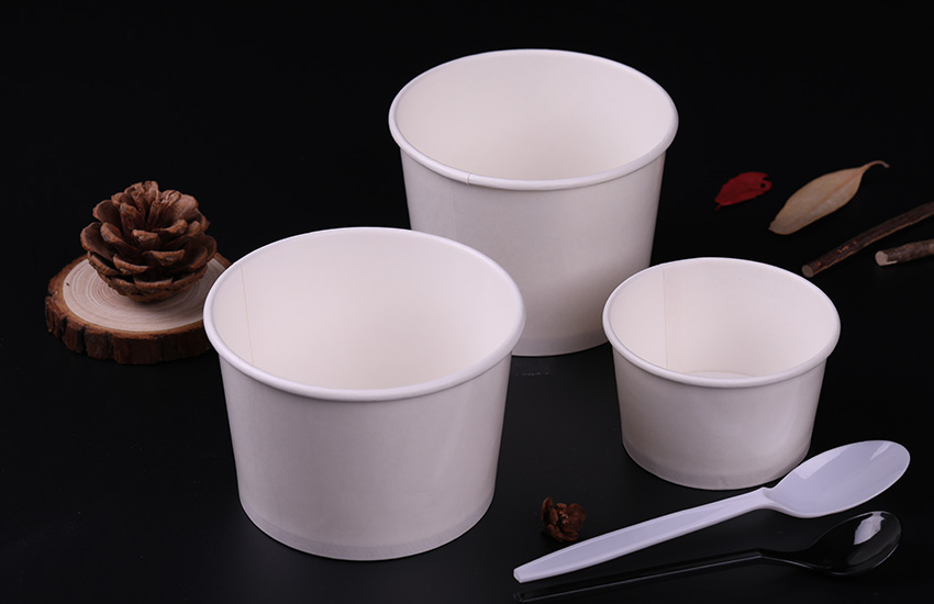 Double PE coated paper bowl