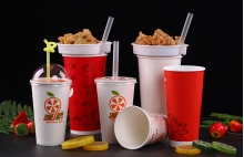 Double PE coated paper cup - Double PE coated paper cup