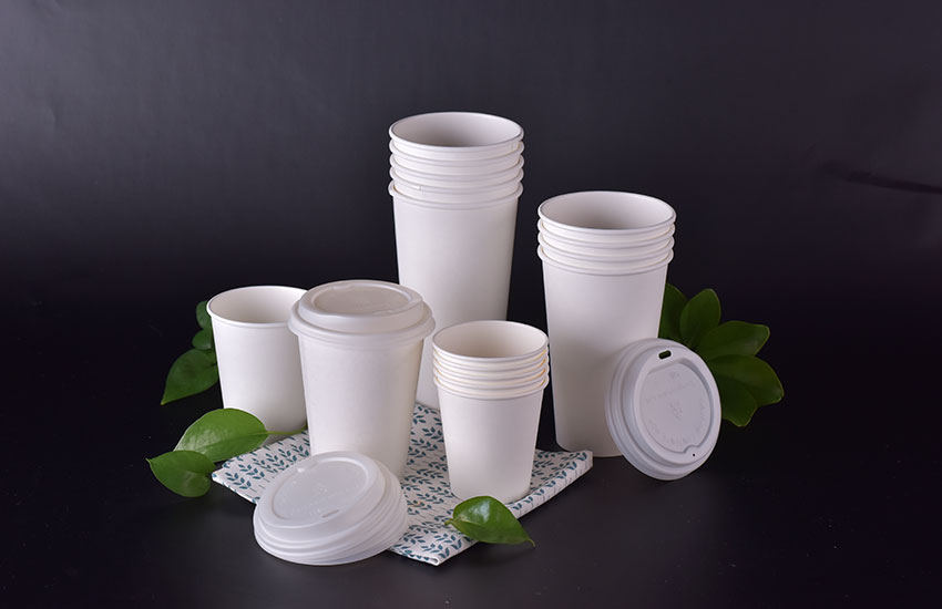 PLA biodegradable paper cup