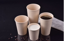 Bamboo pulp paper cup - Bamboo pulp paper cup