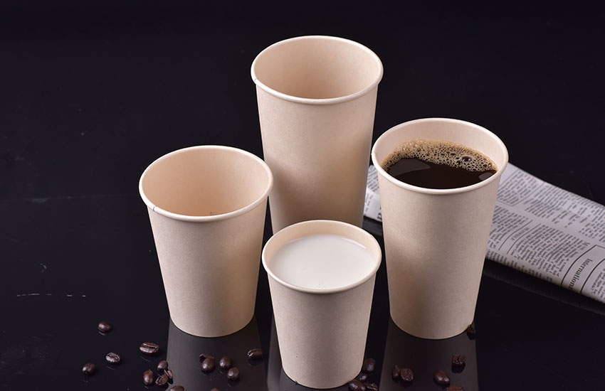 Bamboo pulp paper cup