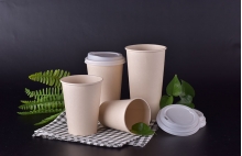 Bamboo pulp paper cup - Bamboo pulp paper cup