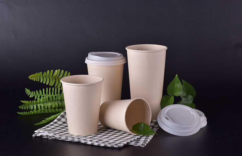 Bamboo pulp paper cup