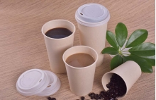 Bamboo pulp paper cup - Bamboo pulp paper cup