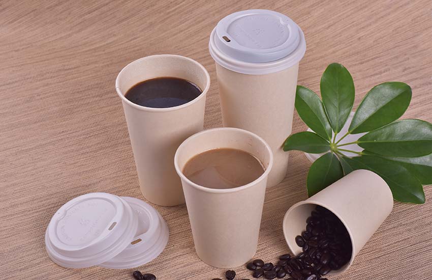 Bamboo pulp paper cup