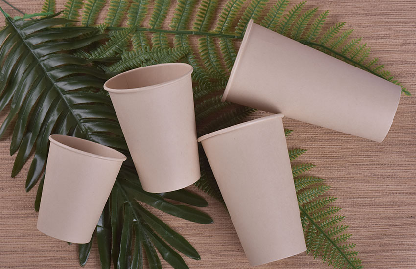 Bamboo pulp paper cup