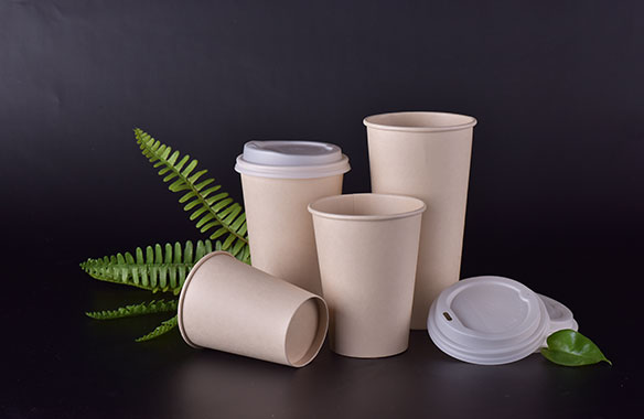 Dispoable bamboo pulp cup