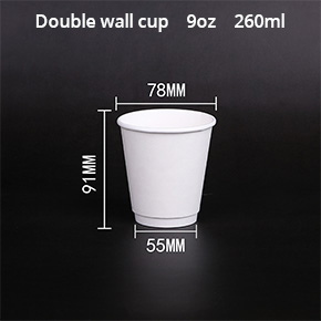 Double wall paper cup