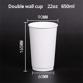 Double wall paper cup