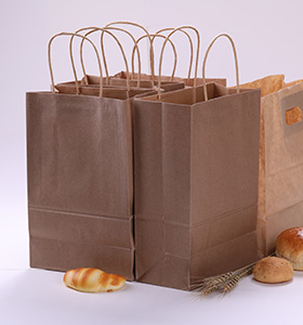 Kraft paper bag with handle