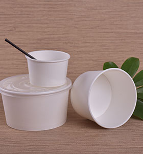 PLA biodegradable paper bowl