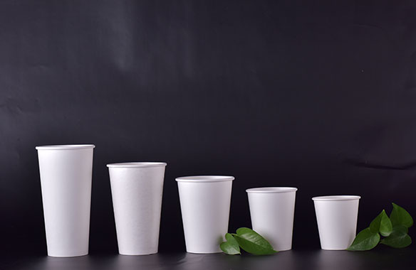 PLA paper cup with lid