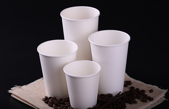 PLA biodegradable paper cup